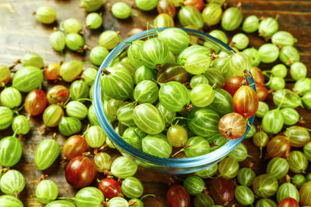 Ripe gooseberry in a glass plate, place for text, top view, summer harvest of berriesの写真素材