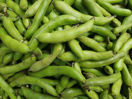 pods of raw organic peas as a background. place for text.