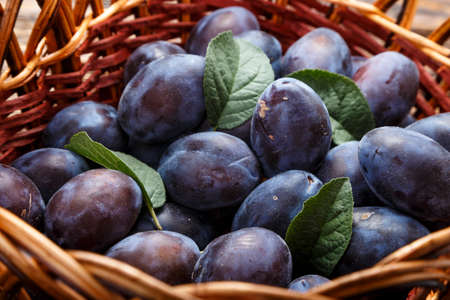 harvest of ripe organic plum in a basket of vines. place for textの写真素材