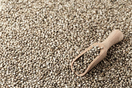 hemp seeds are scattered as a background, on top lies a rustic wooden spoonの写真素材