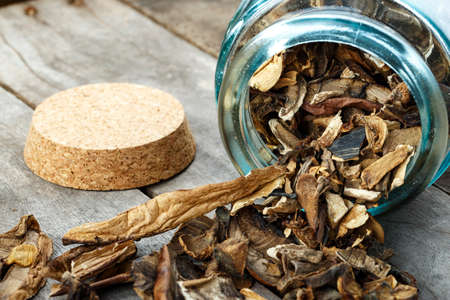 Dried mushrooms on a dark wooden background. place for text