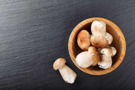 mushrooms boletus in a plate on a black background. view from above. place for textの写真素材