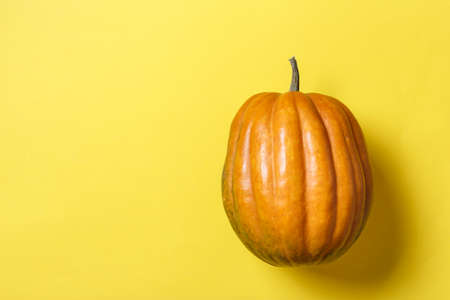 useful autumn vegetable whole round pumpkin on a yellow background. place for textの写真素材
