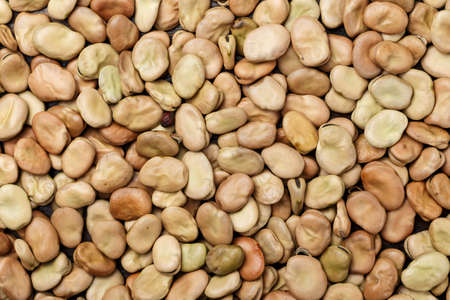 Dried broad beans scattered like a background. space for textの写真素材