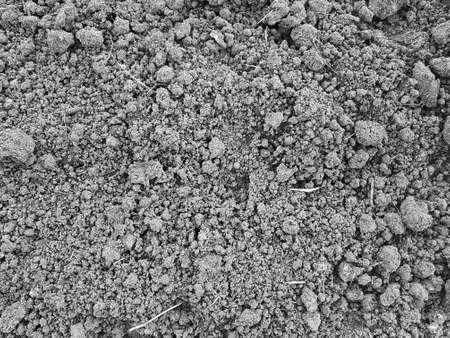 plowed black soil close-up. growing agricultures on the farm. space for textの写真素材