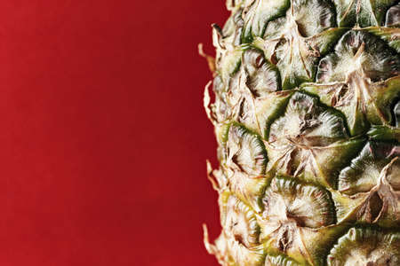 Pineapple rind close up. clearly visible texture of the skin. space for textの写真素材