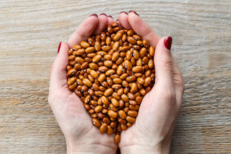 raw beans in a plate. plate in female hands on wooden backgroundの写真素材