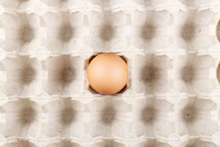one chicken egg in a paper tray. view from above. space for textの写真素材