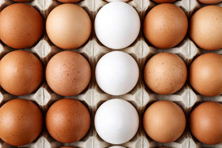 chicken eggs in a paper tray. close-up. space for text