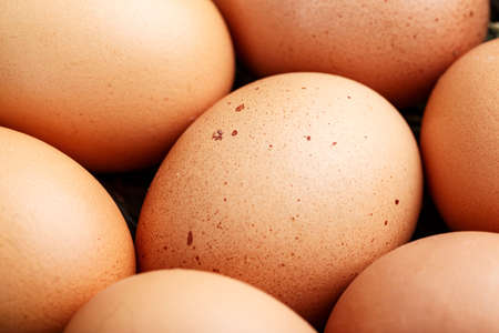 fresh farm chicken eggs close-up. space for text