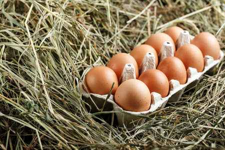 Fresh chicken eggs in the straw in a cardboard tray. rustic backgroundの写真素材