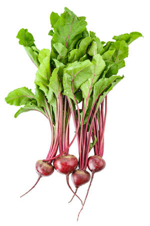young beets with tops the harvest. isolated on white background. space for textの写真素材
