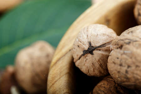 harvested walnuts in shell on wooden background. space for text