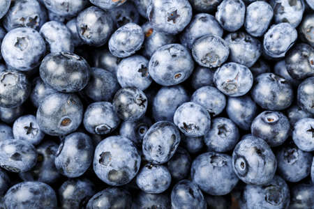 raw blueberries scattered as a background. clearly visible texture of berries. space for textの写真素材
