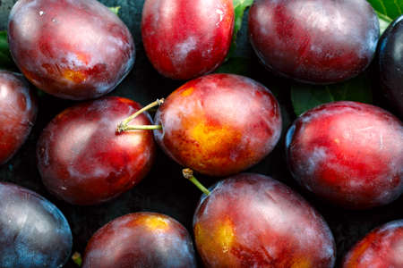 raw ripe plums close-up as juicy fruit background. space for textの写真素材