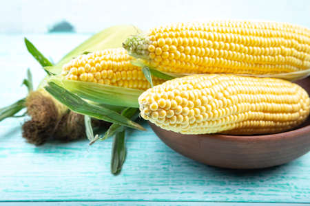corn cobs harvest in a plate on the table. clearly visible texture of corn