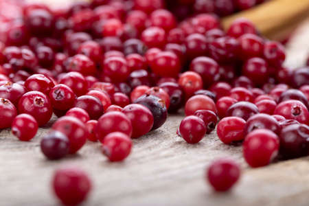 uncooked cranberries are scattered on a brown wooden table. place for textの写真素材