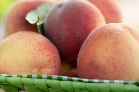 fresh rosy peaches in a basket, closeup. summer fruit harvestの写真素材