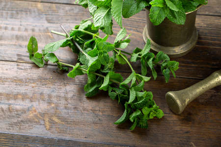 fresh mint in a brass mortar on a table, on a brown wooden background. place for text