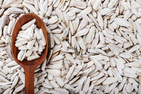 White sunflower seeds are scattered as a background. on the seeds lies a wooden spoon. place for textの写真素材