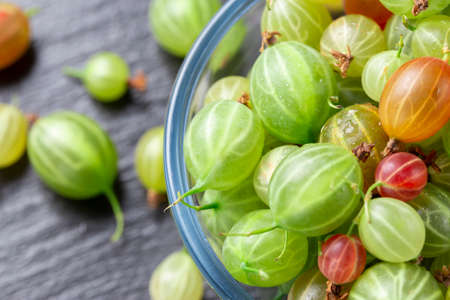 Ripe gooseberry in a glass plate, place for text, top view, summer harvest of berries