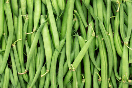 Green beans background. Fresh harvest of healthy vegetables. Top view.の写真素材