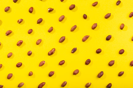 Peanuts pattern isolated on a yellow backround. Repetition concept. Top viewの写真素材