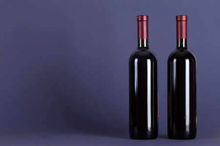 Two corked bottles of red wine on a lilac background. With space for text. Wine tasting and drinking culture concept.の写真素材