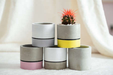 Cactus with red needles in a concrete pot on a textile background. Concrete cache-pot. Fashion trend...