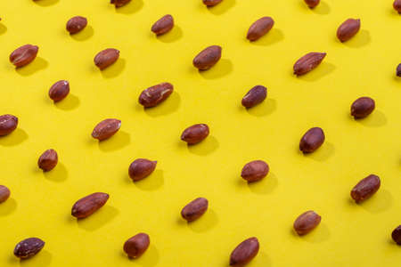 Pattern of peanuts. Fashionable sunny pattern of peanuts on yellow background. Colorful pattern.の写真素材