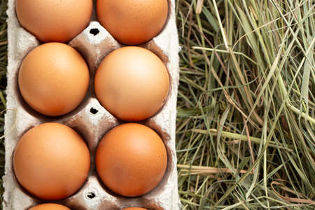 Chicken eggs in a tray and in hay. farming concept.