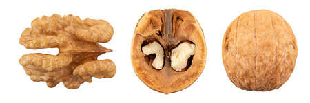 Set of delicious walnuts isolated on white background.の写真素材