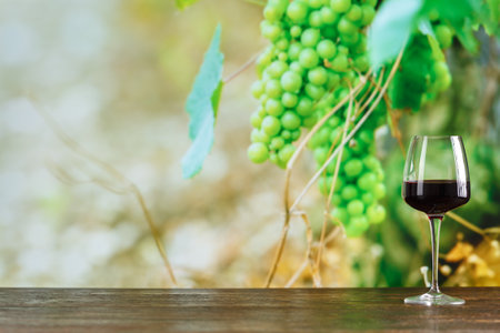 A glass of wine on a background of ripe green grapesの写真素材