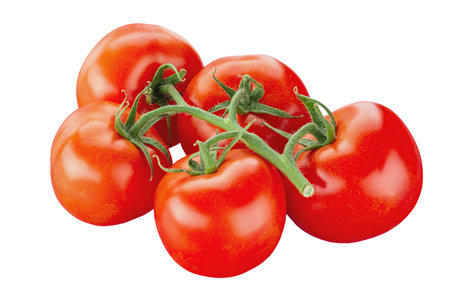Branch of red tomatoes isolated on white. File contains clipping pathの写真素材