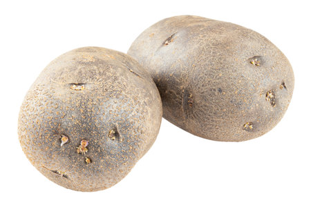 Two raw potatoes, unpeeled. Isolated on a white background. File contains clipping pathの写真素材