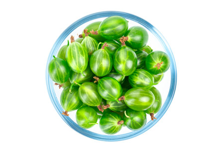 Ripe gooseberry in a glass plate of berries isolated on white background. top view.の写真素材