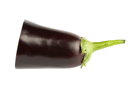 Half egg plant isolated on white background.の写真素材