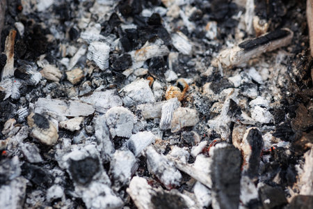 Coals for cooking shish kebab and barbecue. Hot coals and hot ash show the art surface texture....