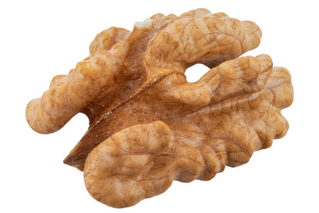 Walnut half isolated. Peeled walnut on white. Walnut top view. File contains clipping path.の写真素材