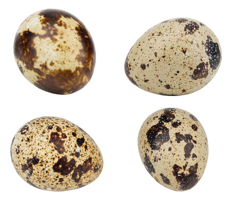 Set of perpaline eggs isolated on white background.  File contains clipping path.の写真素材