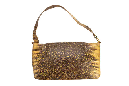 Women's handbag made of snake skin isolated on white background. File contains clipping path.の写真素材