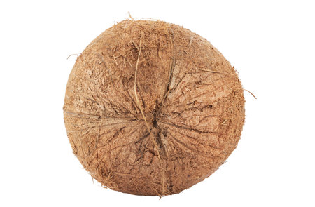 Whole coconut isolated on white background.の写真素材