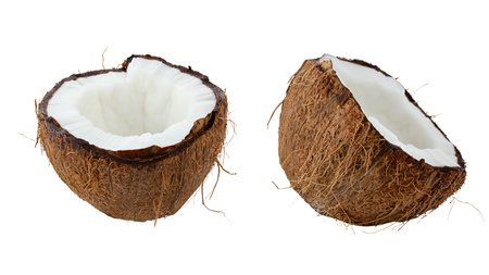 Half coconut isolated on white background.の写真素材