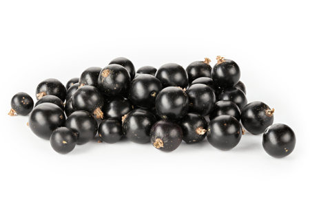 Black current on a white background. Useful berries for health.の写真素材