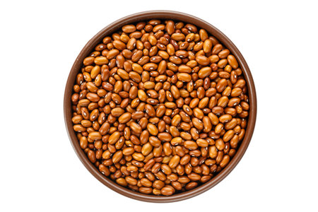 raw brown beans isolated on a white backgroundの写真素材