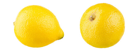 Fresh lemon  isolated on white background, macro food photo. File contains clipping path.の写真素材