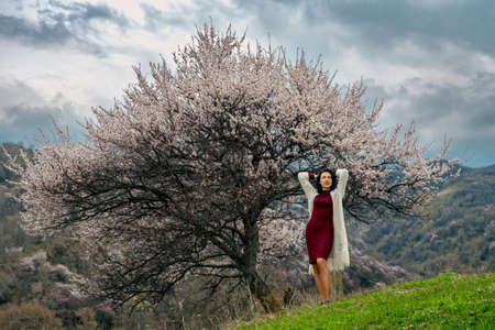 Girl posing near a blooming wild apricot tree in the mountains. Spring in the open air, green field under the crown of a blossoming tree. Spring mood. A tree like a blossoming sakura. Kazakhstanの写真素材