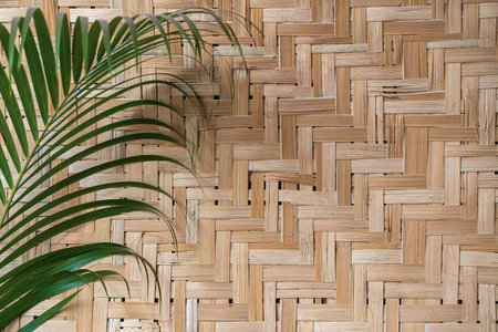 Palm leaf mat with green palm branch. Background imageの写真素材