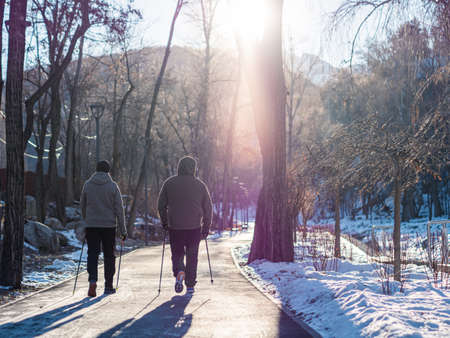 Men are engaged in Nordic walking in a winter park. Recreation fitness and healthy lifestyle outdoors in nature. Motivation and inspirational winter landscape.の写真素材