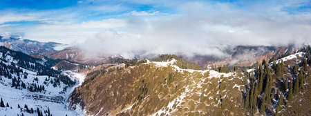 Winter in the mountains. The mountains cover the clouds. The slopes are covered with coniferous treesの写真素材
